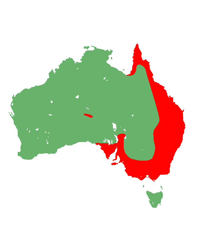 Eastern blue-tongued skink distribution