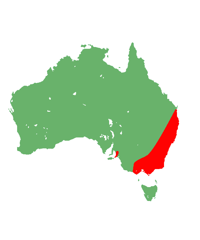 Cunningham's skink distribution