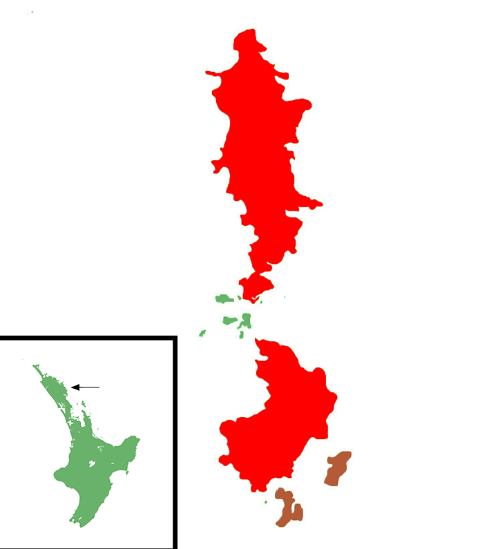 Oligosoma roimata distribution