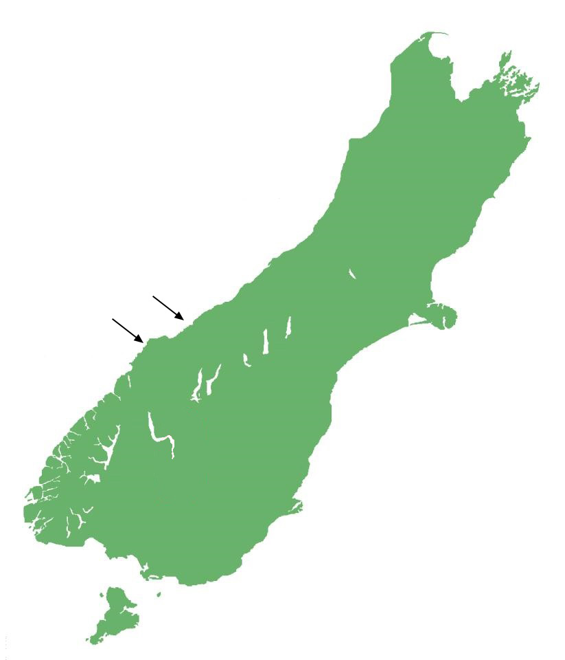 Oligosoma taumakae distribution