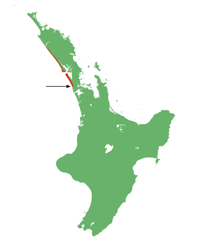 Korowai gecko distribution
