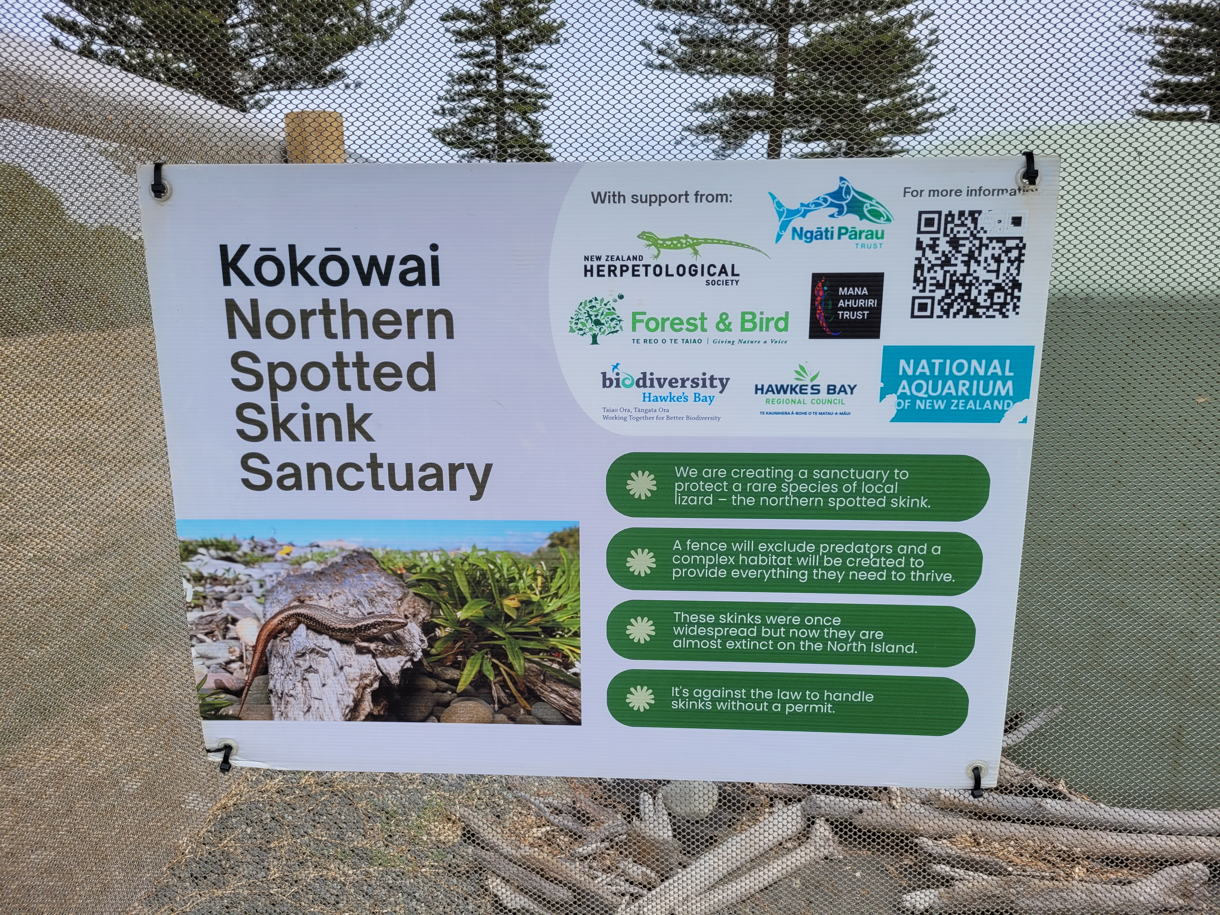 Napier spotted skink sanctuary sign (Nick Harker)