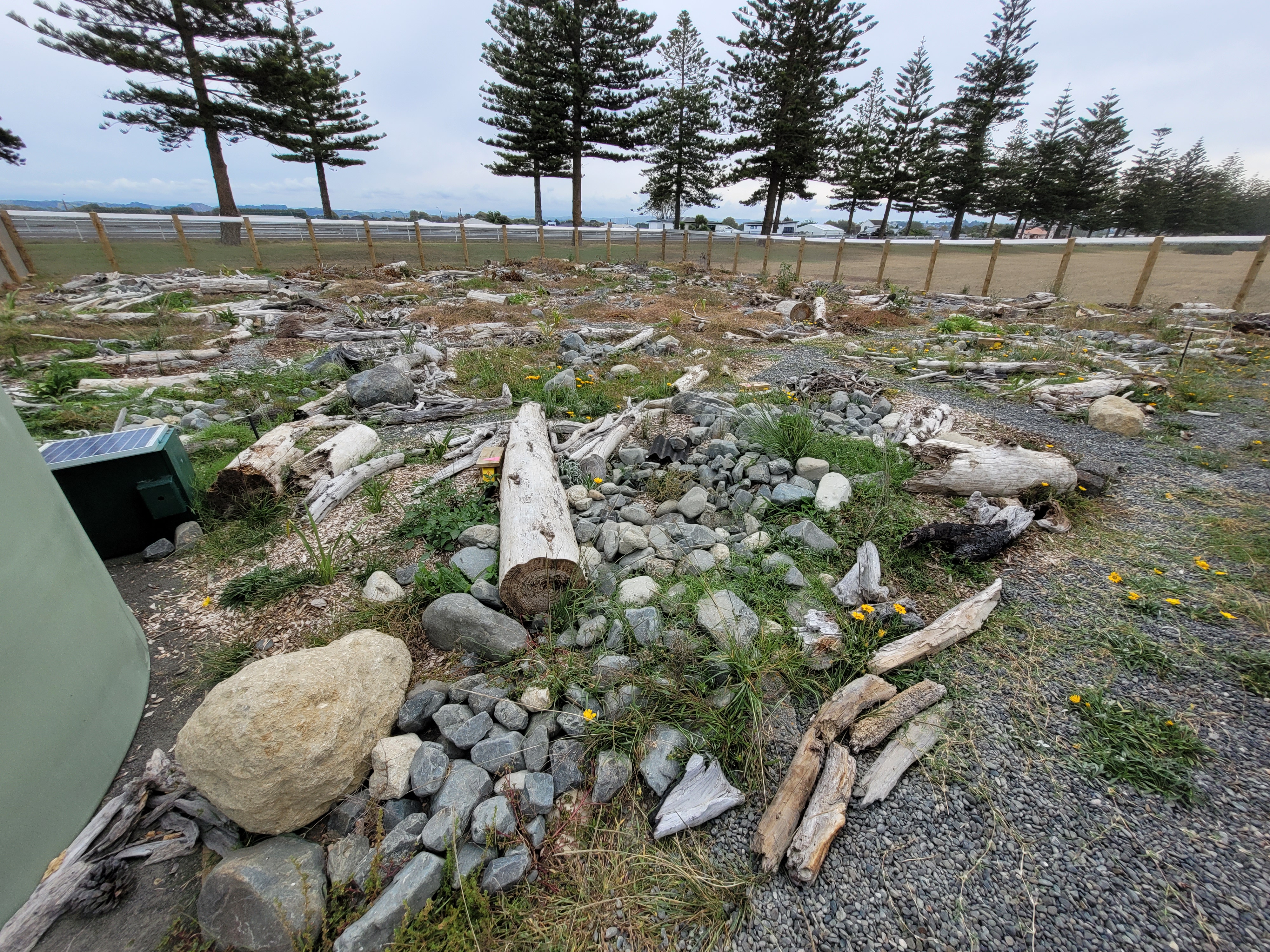 Napier spotted skink sanctuary habitat (Nick Harker)